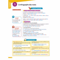 POUR COMPRENDRE TOUTE LA 5E. EDITION 2024, Lisle Isabelle de - Vue supplémentaire 4