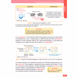 Objectif BAC Tle spécialité SVT BAC 2025 (Broché)
