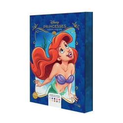 Livre - Disney - Princesses Disney - Édition collector - Collection Princesses Disney - Auteur Disney