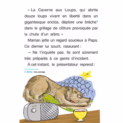 Sami et Julie Roman CE2 Sur la piste du loup (Cartonné) - Vue supplémentaire 3