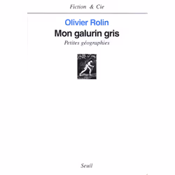 ISBN Mon galurin gris, 272 pages