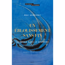 ISBN Un éblouissement sans fin, 368 pages