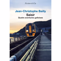 ISBN Saisir, 256 pages