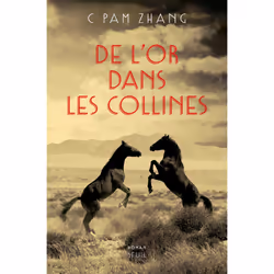 ISBN De lor dans les collines, 336 pages