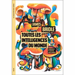 ISBN Toutes les intelligences du monde, 464 pages