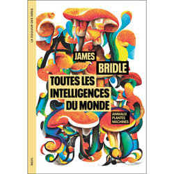 ISBN Toutes les intelligences du monde livre