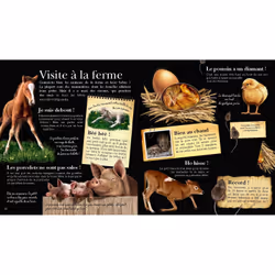 Les bébés animaux