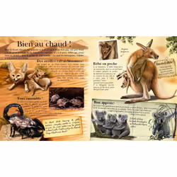 Les bébés animaux