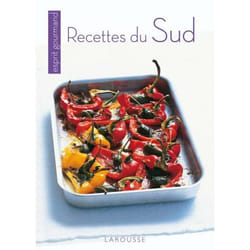 Recettes du sud (Broché)