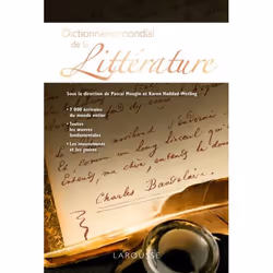 ISBN Dictionnaire mondial de la littérature, Français, 896 pages