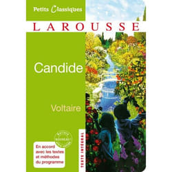 Candide (Poche)