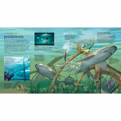 Les Requins
