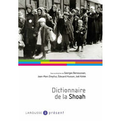 Dictionnaire de la Shoah (Broché)