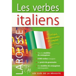 Les verbes italiens (Broché)