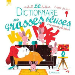 Le dictionnaire des grosses bêtises