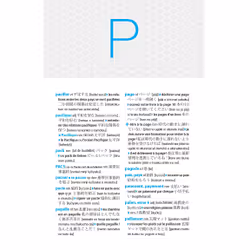 Maxi-poche plus japonais (Broché)