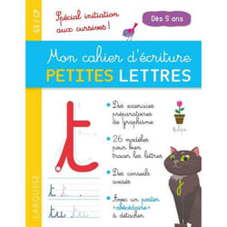 Mon cahier d'écriture PETITES LETTRES dès 5 ans (Broché)