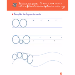 Mon cahier d'écriture PETITES LETTRES dès 5 ans (Broché)