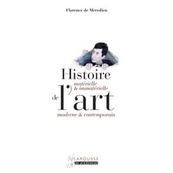 Histoire matérielle et immatérielle de l'art moderne et contemporain (Broché)
