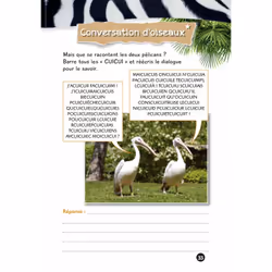 Mes jeux de l'été UNE SAISON AU ZOO