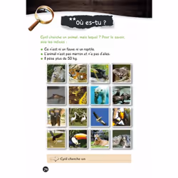 Mes énigmes de l'été UNE SAISON AU ZOO