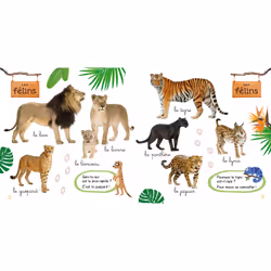 Mon imagier des animaux avec Une saison au zoo (Jeunesse)