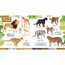 Mon imagier des animaux avec Une saison au zoo (Jeunesse)