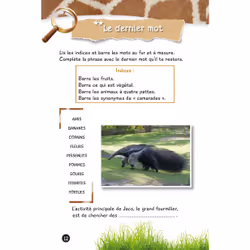 Mystères et jeux malins UNE SAISON AU ZOO - Vue supplémentaire 4