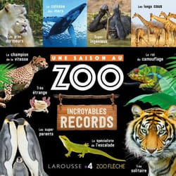 UNE SAISON AU ZOO Incroyables records (Jeunesse)