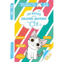 Cahier de vacances MS-GS (Broché)