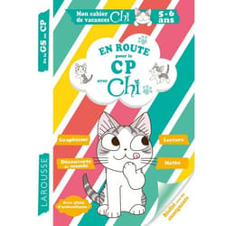 Cahier de vacances GS-CP (Broché)