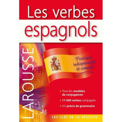 Les verbes espagnols (Broché)