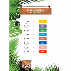 1ères lectures UNE SAISON AU ZOO - Tout roux, tout doux ! (Broché)