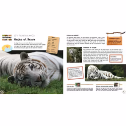 Une saison au Zoo, l'Album de l'émission