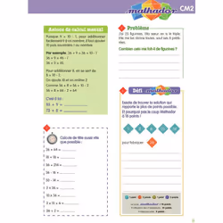 Numéro 1 en maths avec Mathador CM2 (Broché)