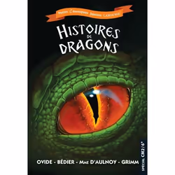 ISBN Histoires de dragons, Pour enfants, Français, 96 pages
