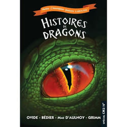 Histoires de dragons (Broché)