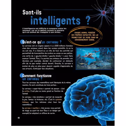 Le grand livre de l'intelligence animale