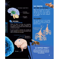 Le grand livre de l'intelligence animale