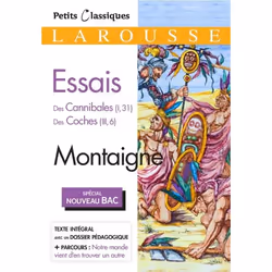 ISBN Essais (Spécial Bac), classiques, Français, 96 pages