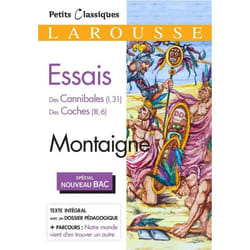 Essais (Spécial Bac) (Broché)