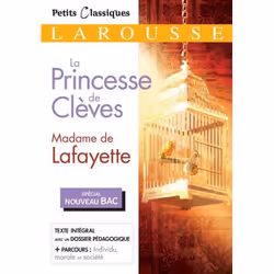 ISBN La princesse de Clèves Spécial Bac, classiques, Français, 256 pages