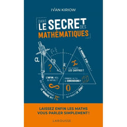 Dans le secret des mathématiques (Broché)