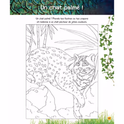 Coloriages magiques UNE SAISON AU ZOO, spécial jungle