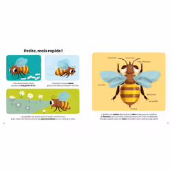 Les Abeilles