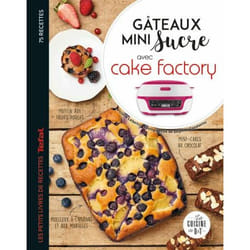 Gâteaux mini sucre avec Cake Factory (Broché)