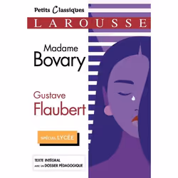 ISBN Madame Bovary, classiques, Français, 400 pages