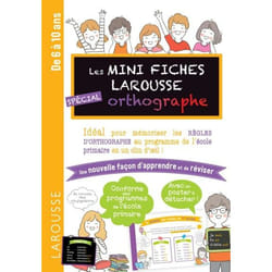Mini Fiches d'orthographe (Broché)