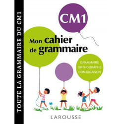 Petit cahier de grammaire LAROUSSE CM1 (Broché)