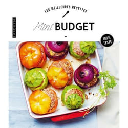 Mini-budget (Broché)